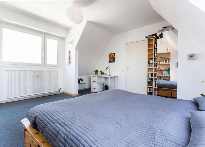 Place De L'etoile * 스트라스부르